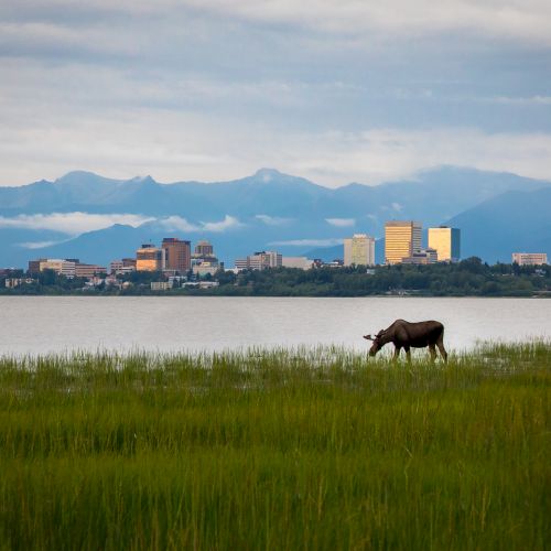 Picture of Anchorage from wilderness